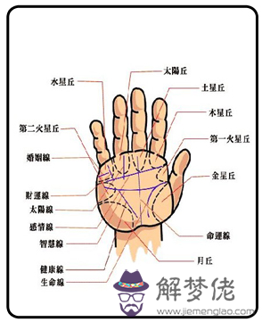 最詳細的男人手相圖解大全：手相圖解大全男左手太陽線