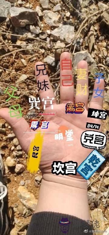 我是1983年4月13日下午一點多生人（農歷）八字詳批...