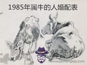 1985年屬牛的是什麼命：85年屬牛的是什麼命?