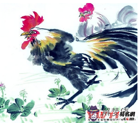 屬雞的今年多大2020：屬雞的今年多大