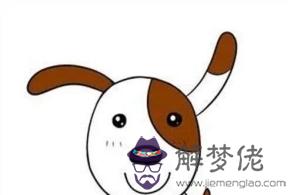 屬狗的出生年份表