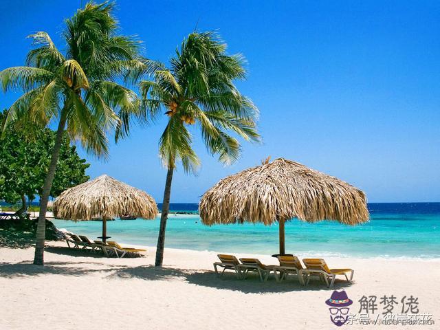 33歲有一劫屬虎86：屬虎女的劫數是哪一年
