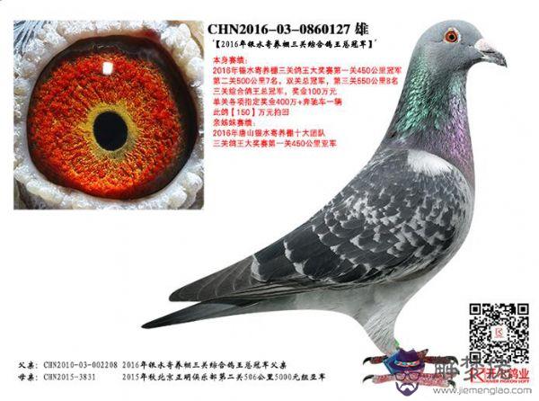 賴銘滄經典配對圖片：信鴿TAIWAN 2019 是哪里的