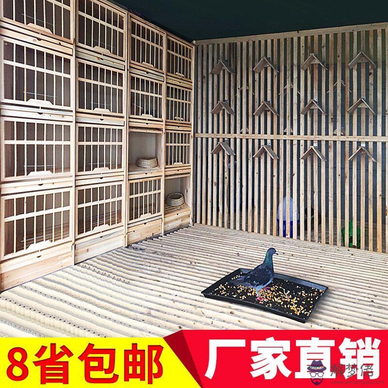 信鴿配對籠價格50元