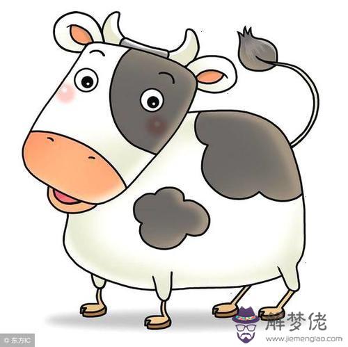 20歲屬什麼生肖配對：20歲的女孩屬相是什麼，跟屬猴男相配嗎