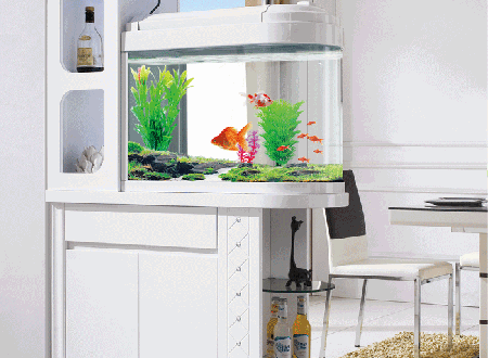 魚缸對著進戶門好不好