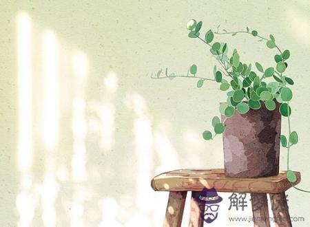 壁上土命是什麼意思