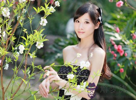 丙子日柱女命