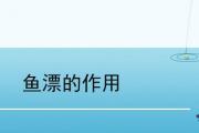 魚漂的作用