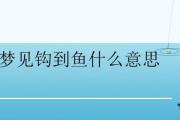 夢見鉤到魚什麼意思
