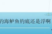 釣海鱸魚釣底還是浮啊