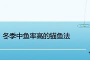 冬季中魚率高的錨魚法