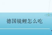德國鏡鯉怎麼吃