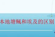 本地塘鲺和埃及的區別