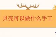 貝殼可以做什麼手工