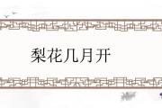梨花幾月開