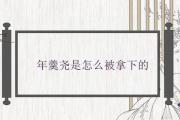 年羹堯是怎麼被拿下的