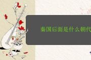 秦國后面是什麼朝代