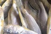 凍的小黃魚還去內臟嗎