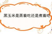 黑玉米是蒸著吃還是煮著吃