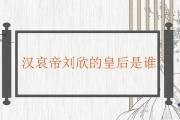漢哀帝劉欣的皇后是誰