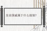 皇親國戚屬于什麼級別
