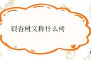 銀杏樹又稱什麼樹