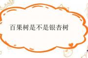 百果樹是不是銀杏樹