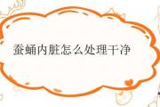 蠶蛹內臟怎麼處理干凈
