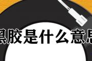黑膠是什麼意思