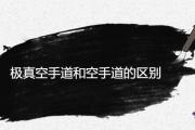 極真空手道和空手道的區別