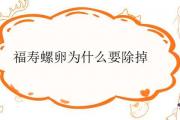 福壽螺卵為什麼要除掉