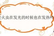熒火蟲在發光的時候也在發熱嗎