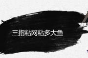 三指粘網粘多大魚