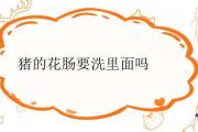 豬的花腸要洗里面嗎