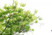 濟南溶洞景點在哪里