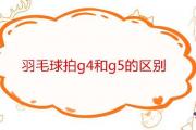 羽毛球拍g4和g5的區別