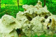 蓮花山海拔多少米