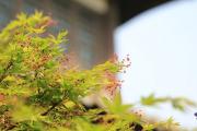 有馬溫泉一日攻略