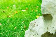 廣州石門森林公園攻略