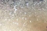 玉米面粥是開水下鍋還是冷水下鍋