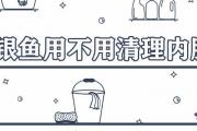大銀魚用不用清理內臟
