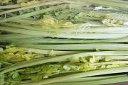 芹菜焯水用冷水還是熱水