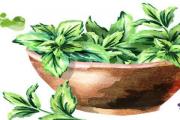 薄荷涼拌要不要燙一下