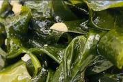 鹽漬海帶使用前要煮嗎