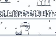 楊樹上的毛毛穗叫什麼