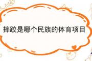摔跤是哪個民族的體育項目