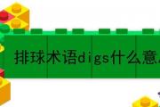 排球術語digs什麼意思