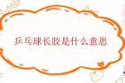 乒乓球長膠是什麼意思