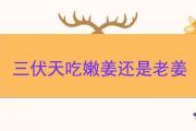 三伏天吃嫩姜還是老姜